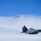 Disappointing picture as the Strike Eagle is the least interesting plane in the formation.